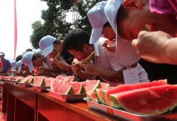 吃瓜大赛,吃瓜大赛精彩瞬间大盘点